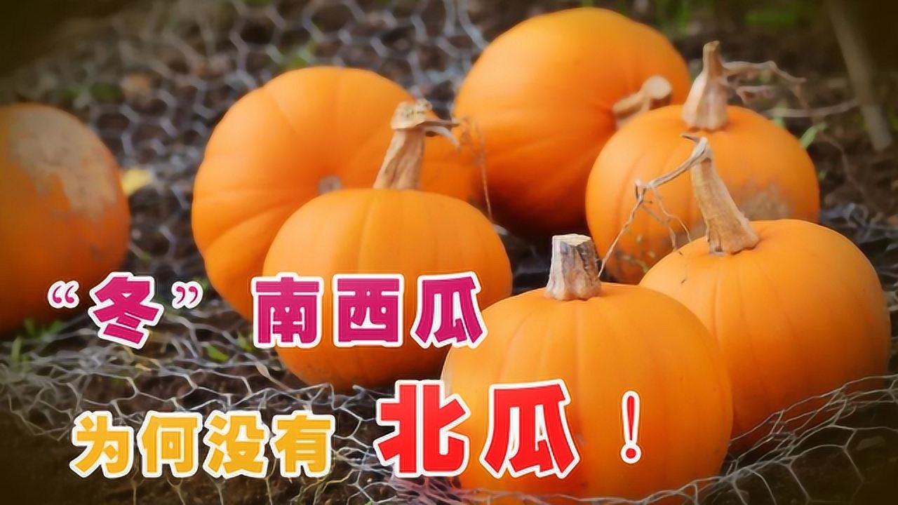 水果蔬菜中冬瓜,西瓜和南瓜是以什么命名的?