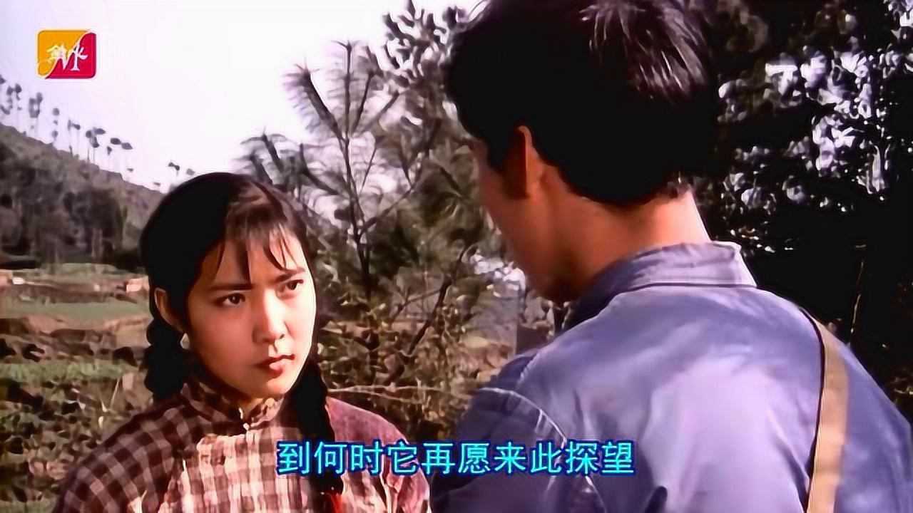 朱明瑛《角落之歌》被爱情遗忘的角落