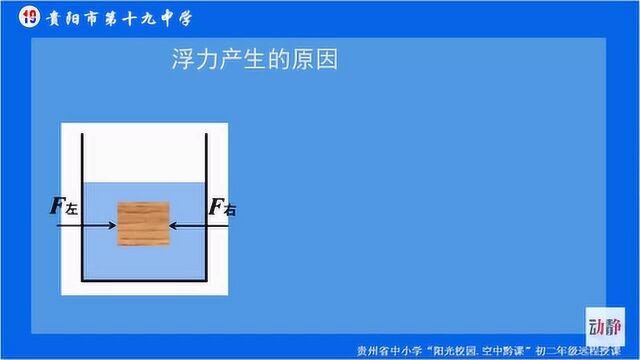 0325002 初二年级物理第九章 第一节 认识浮力