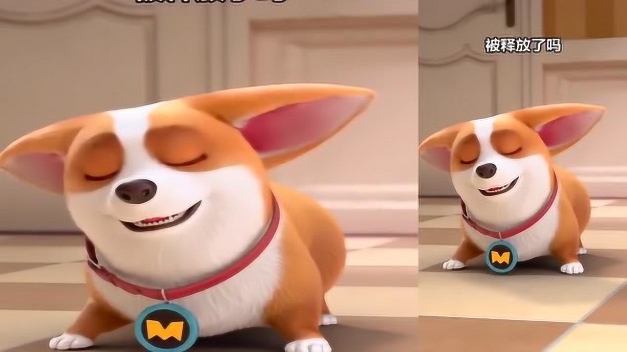 飞狗moco巴顿是因为压力大才这么能吃的吗你想多了