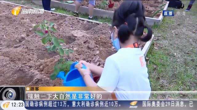 大直播:三亚优惠活动层出不穷,加速旅游产业恢复活力