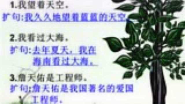 小学语文毕业复习:扩句与缩句课件,知识要点分类总结,适合多看