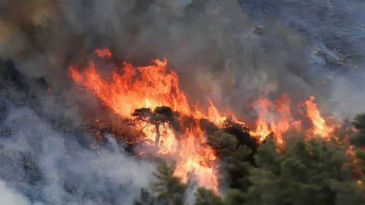 四川凉山州森林火灾图片