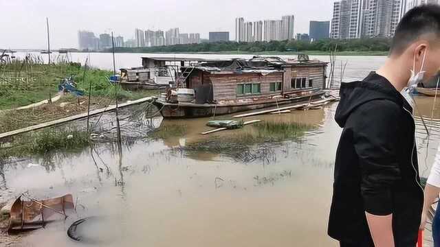 佛山沙口春游踏青好去处,闹市中的农贸小集市,农家鸡河鱼河鲜