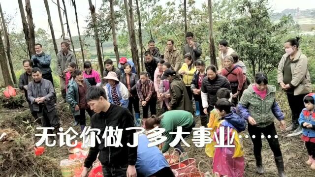 清明拜山祭祖,是一次寻根问古,你那里重视吗?