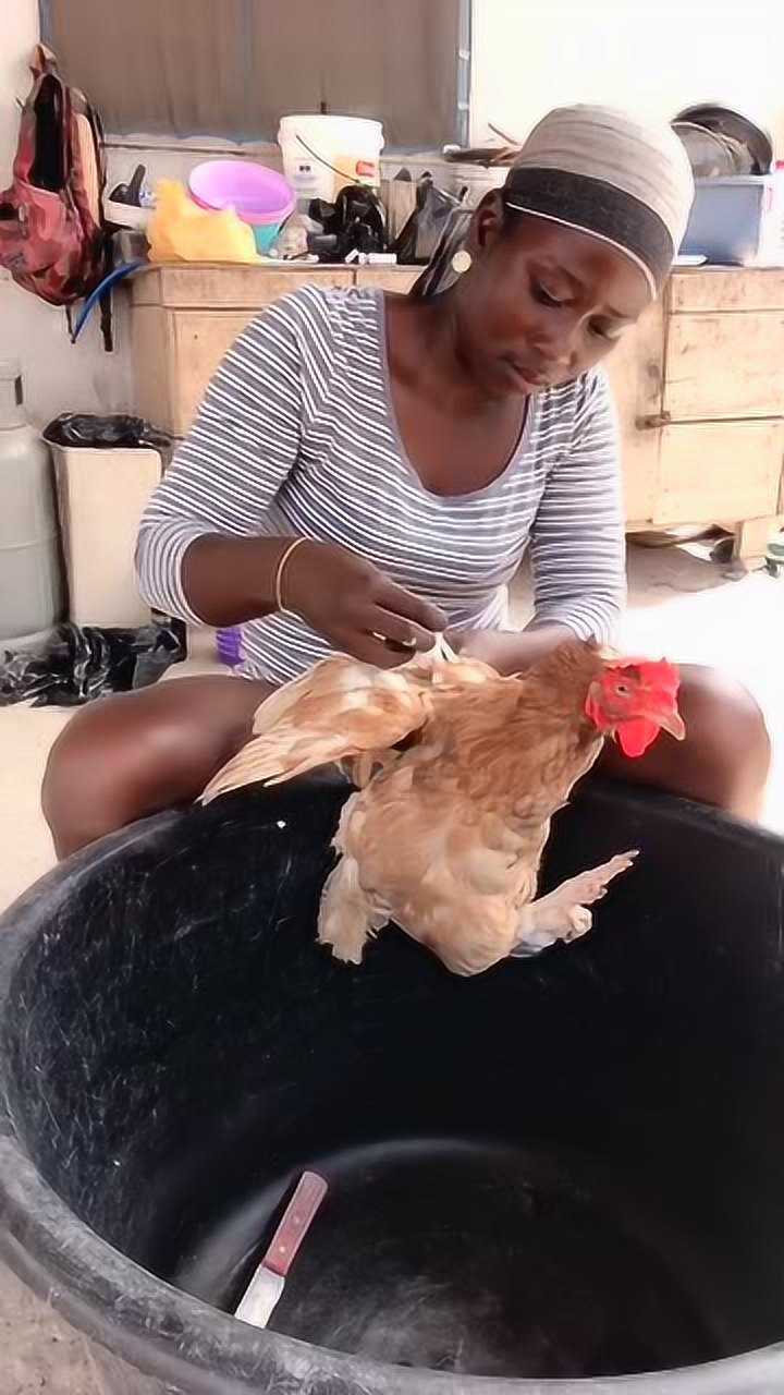 非洲小姐姐现场杀鸡眼前一幕中国女生太温柔了