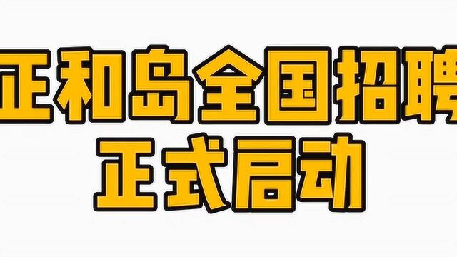 【正和岛招聘】当代年轻人的职业理想