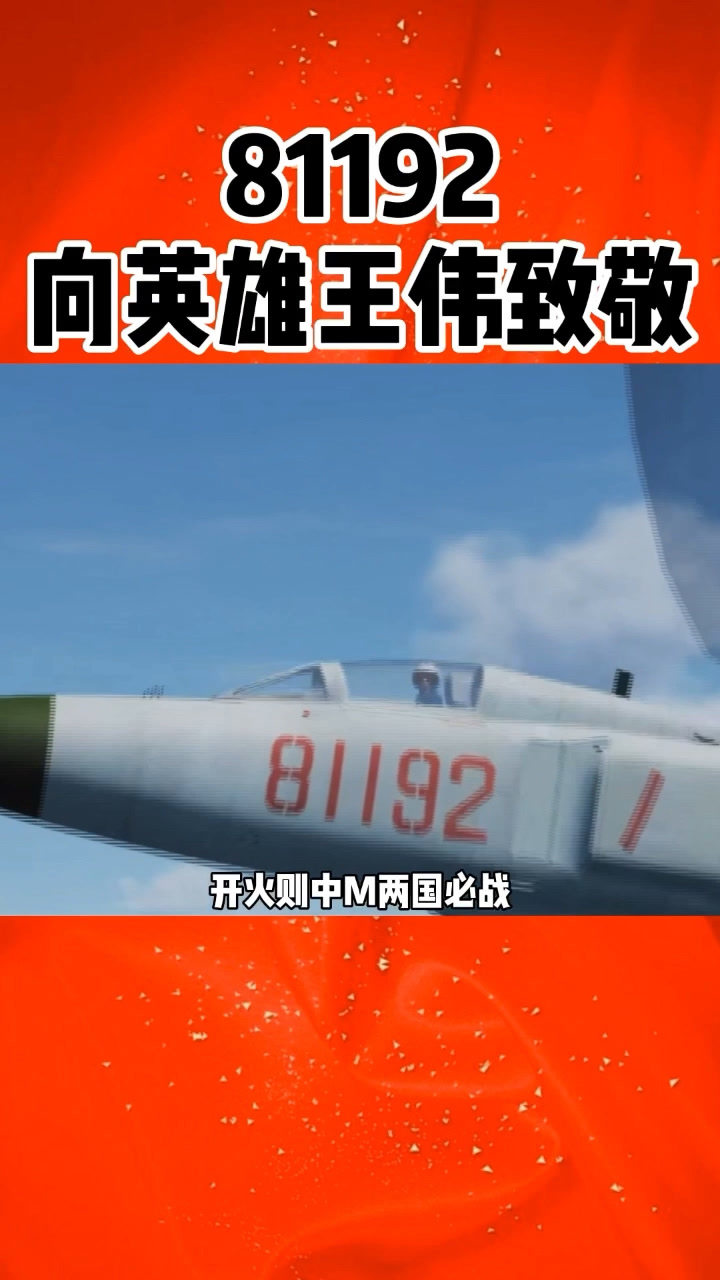 81192中国人不会忘记你回家吧我们都等着你呢王伟