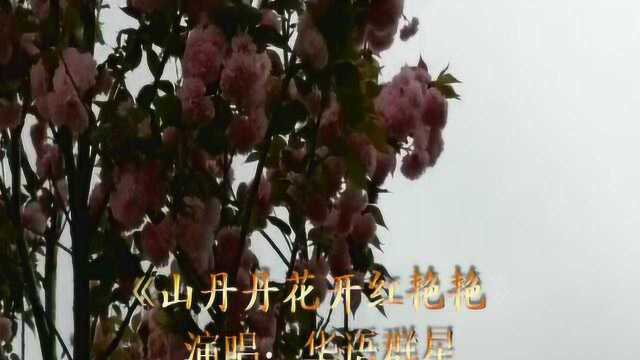 再游曲靖西河公园,分享西河美景和好歌《山丹丹花开红艳艳》