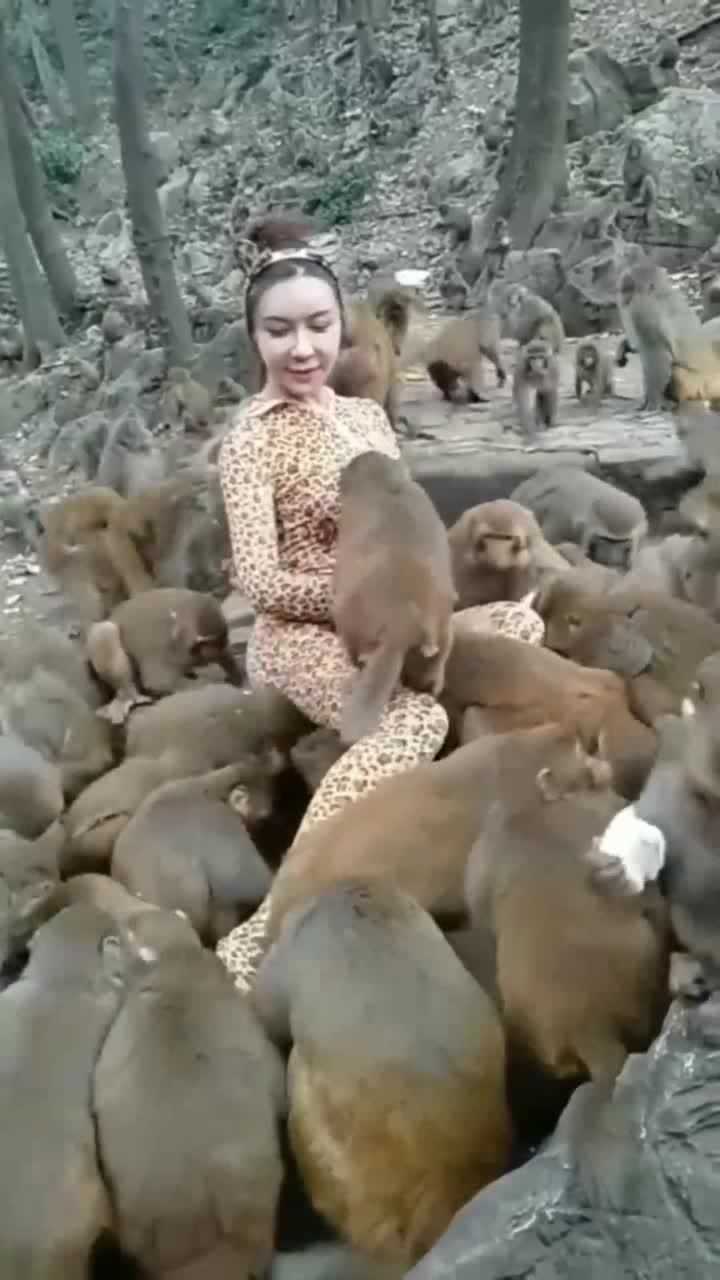 猴子看到美女后现场控制不住了