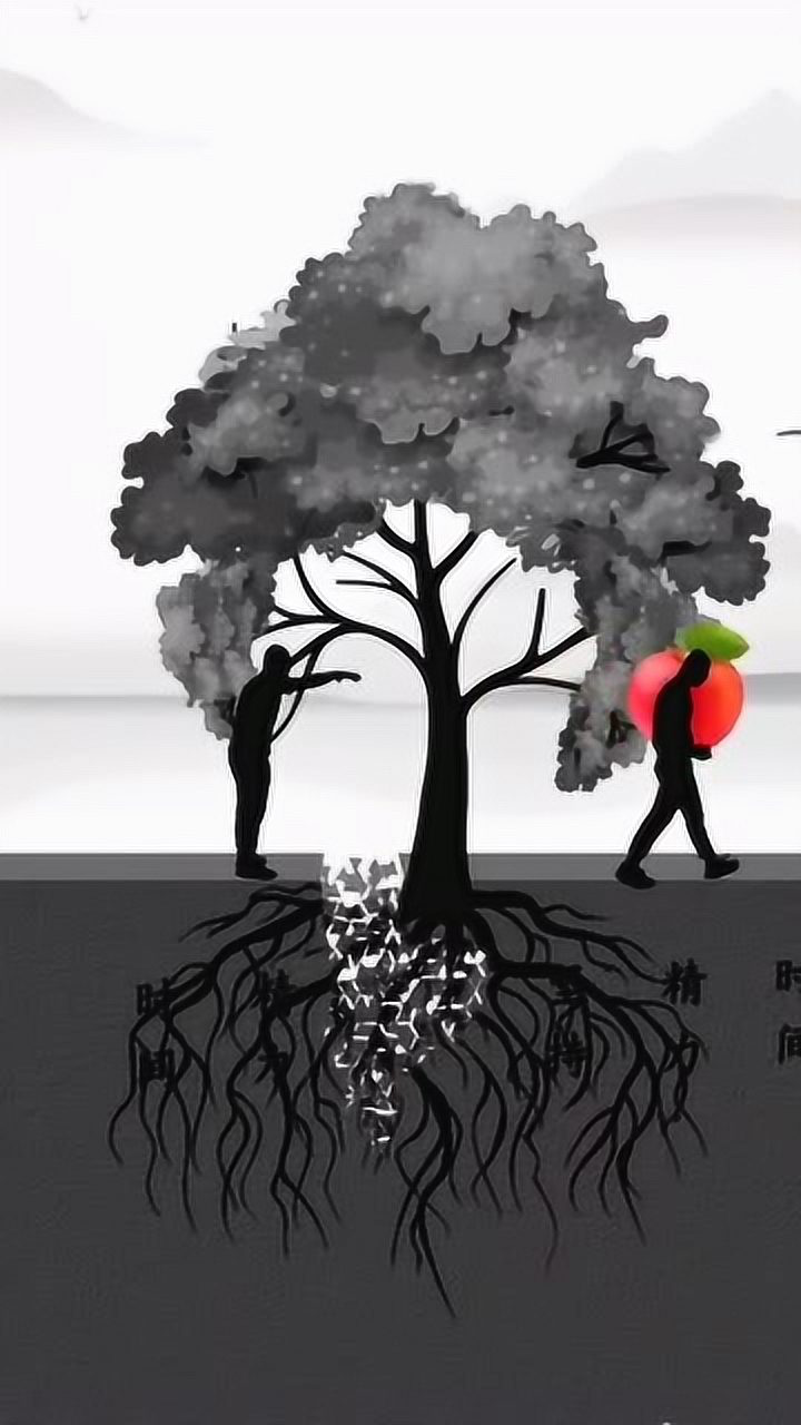 只有根深蒂固,才能稳固