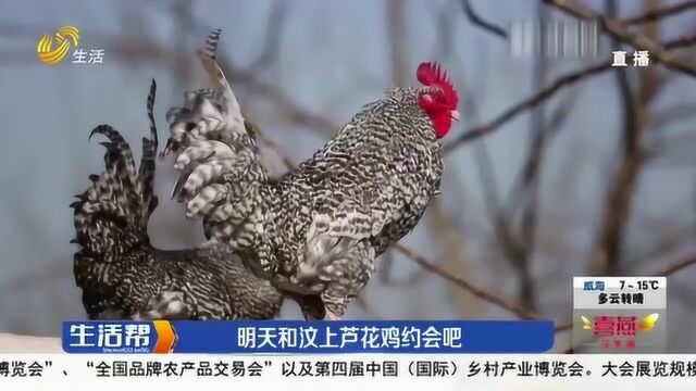 资源丰富!“战疫助农”走进济宁汶上 直播助力当地农副产品销售