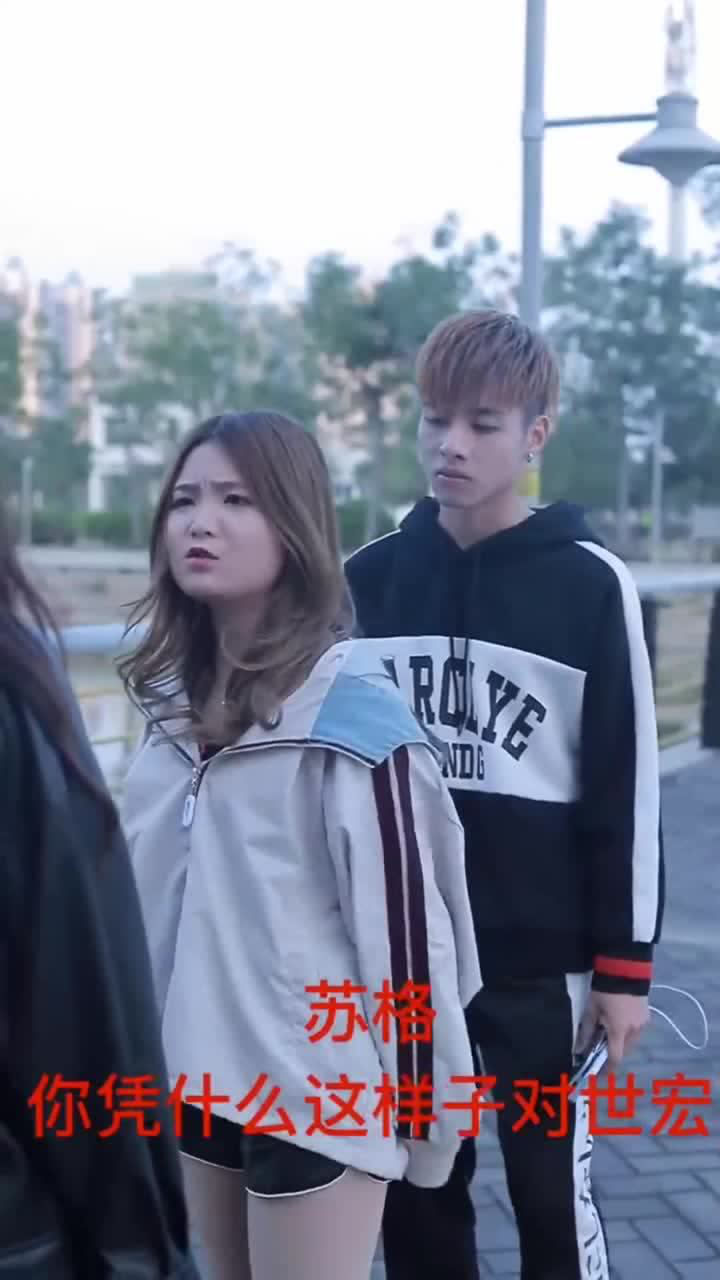 苏格会跟世宏复合嘛