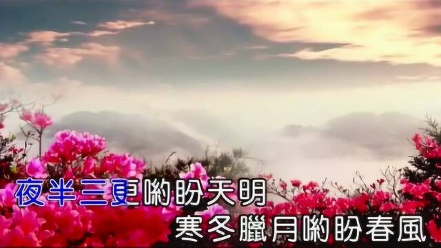 葫芦丝独奏映山红