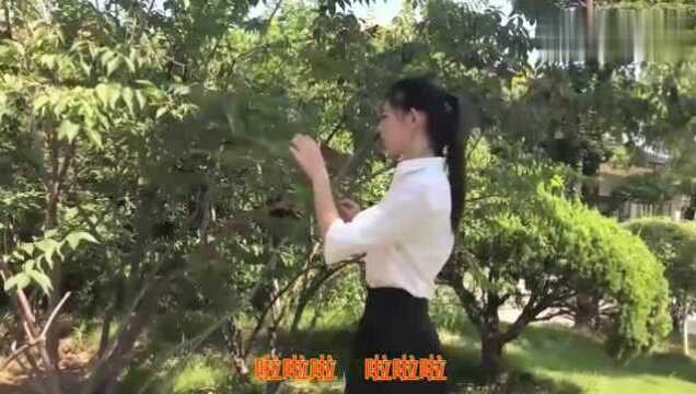 经典金曲!《好姑娘》情意绵绵,难忘的经典