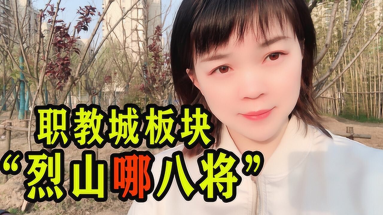 合肥的烈山八将实地去看环境不错配套暂且缺点意思