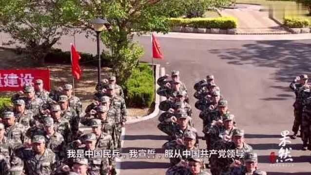 果然视频|滨州市民兵点验大会在秦台军事基地举行