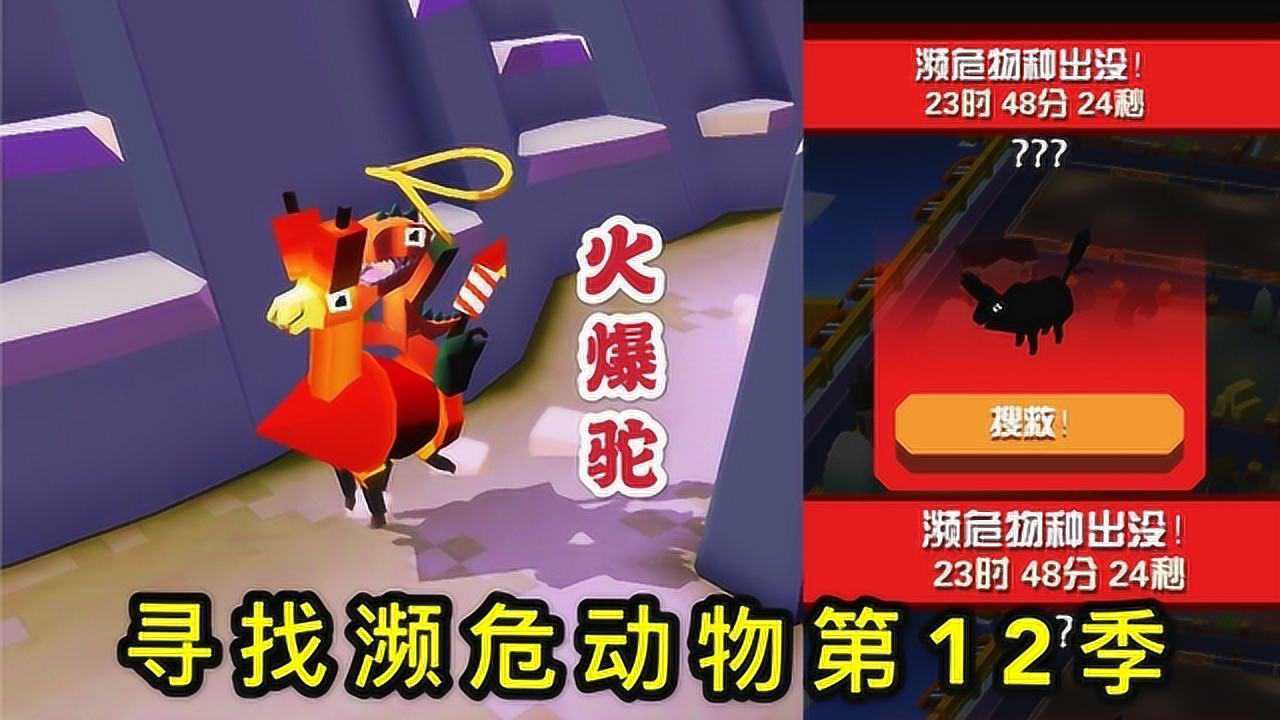 疯狂动物园:寻找30只濒危动物第12季,山脉中的濒危羊驼