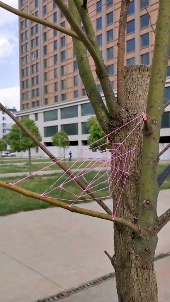 毛线编织蜘蛛网图片