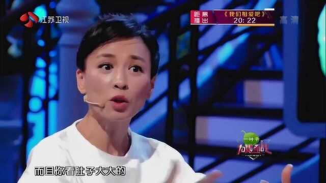 4位女明星还是鲍蕾最聪明,智商情商高,太会说话