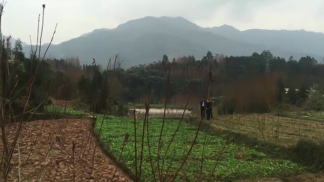 风水视频云台山,坟墓风水如何催官催贵,看风水大师王君植四川成都风水寻龙