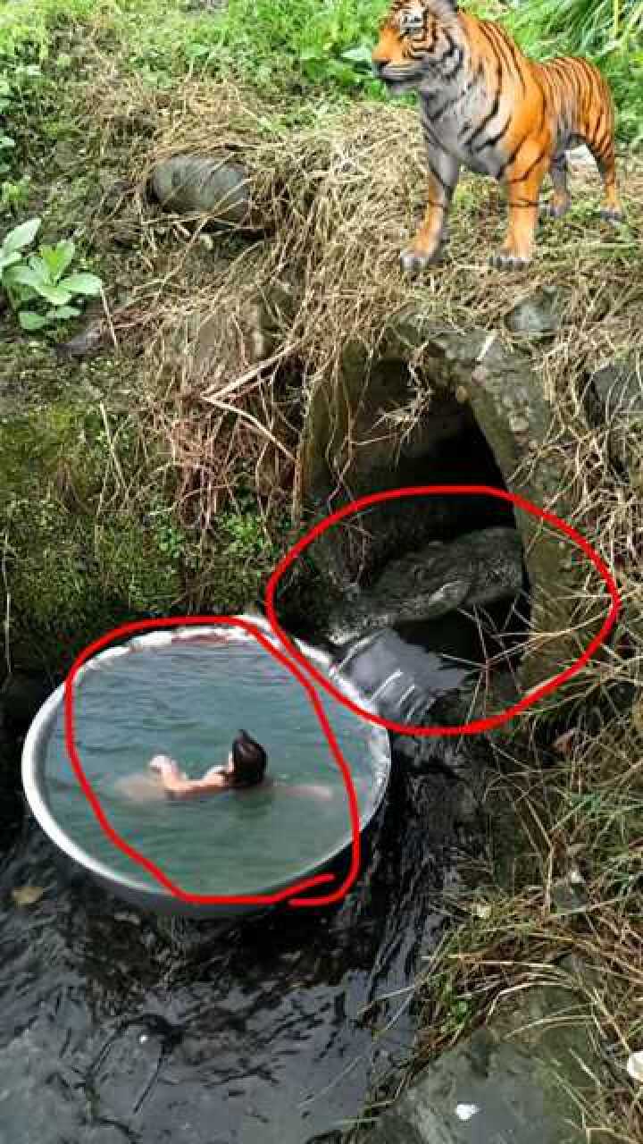 野外戏水注意安全