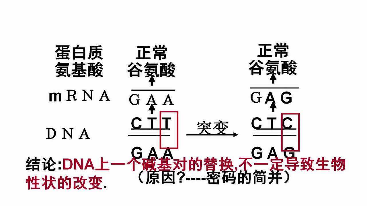 第一節基因突變和基因重組_騰訊視頻