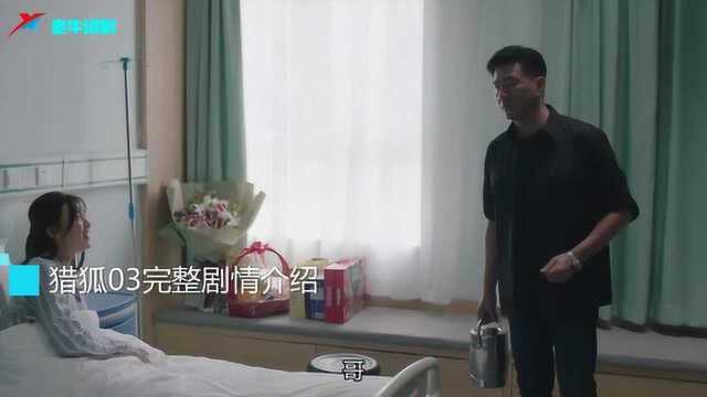 调查万马汇 郝小强和王柏林合作 肖荣隐瞒了什么 猎狐第三集介绍