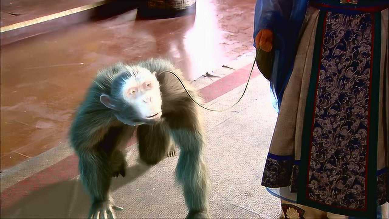 封神英雄榜前方高能现场直播伯邑考花式作死全过程太冤了