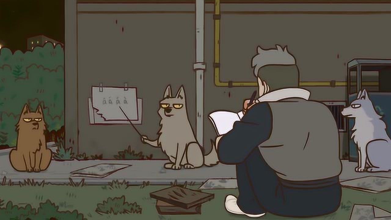 万圣街大毛不会讲中文晚上和狗狗偷偷学中文