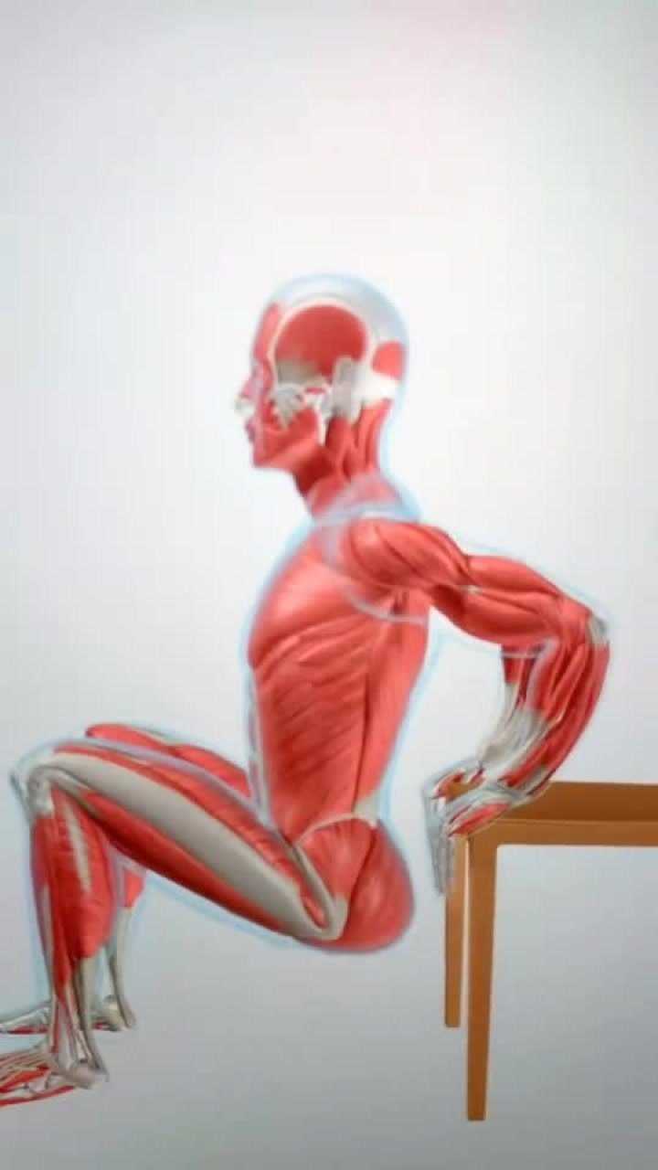 肱三头肌锻炼方法一把椅子在家练简单又方便