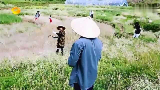 毛不易割地太认真,被鬼鬼当成农民.