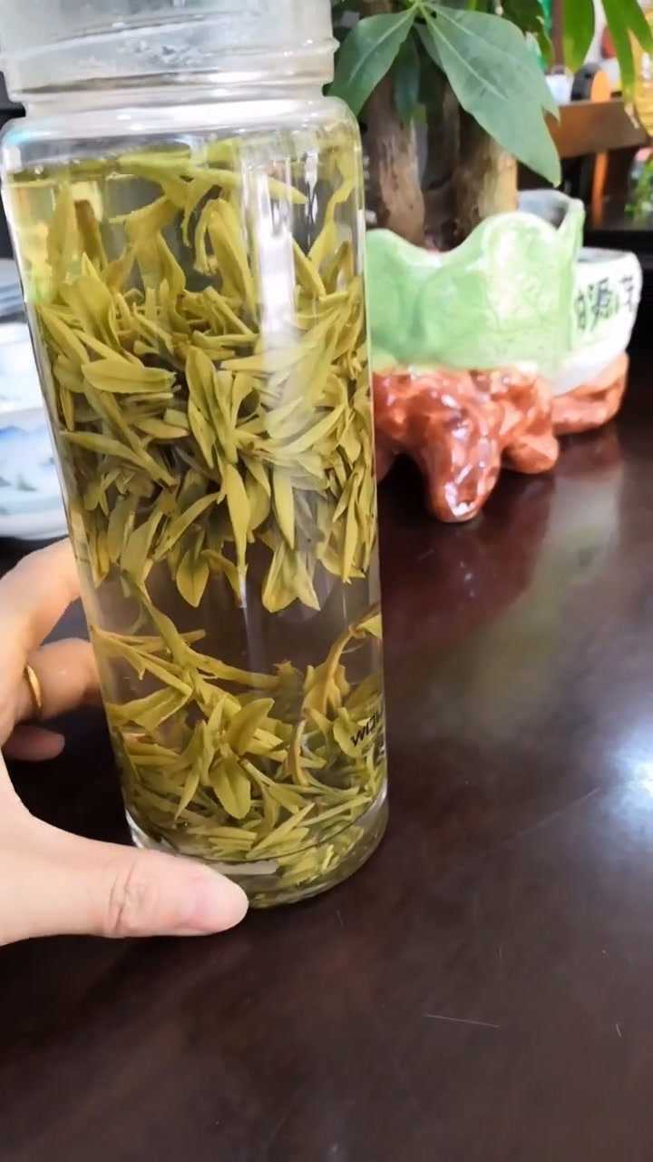 这就是上好龙井泡开之后样子看起来还是很好看的吧