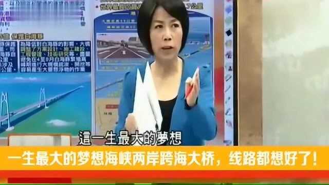 台湾学者:一生最大的梦想海峡两岸跨海大桥,最独特的大桥!