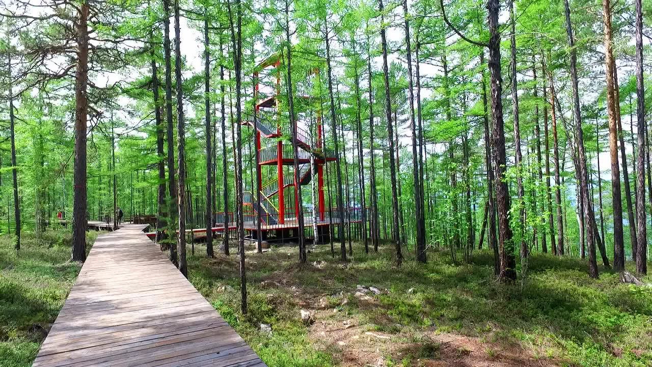 呼中森林康养小镇申报片