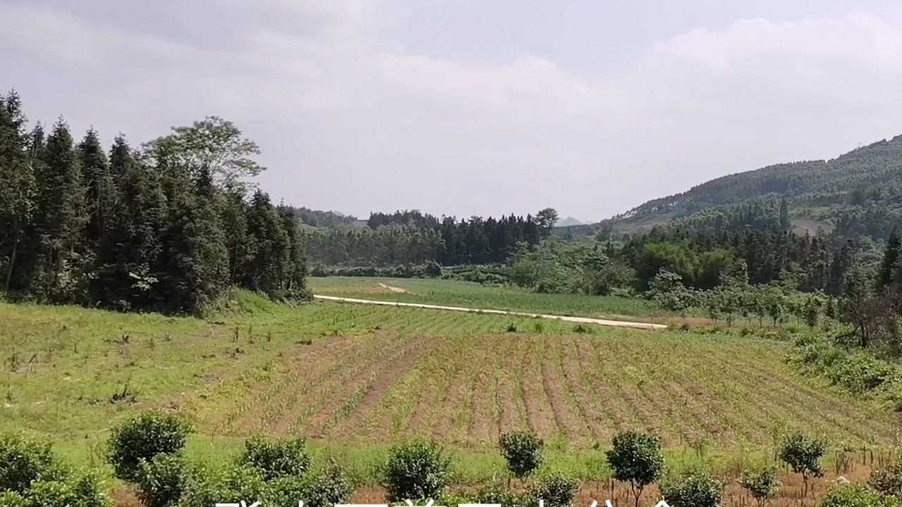 今天找到一卦福地,癸山丁向兼丑未分金,大家看是否点中穴位