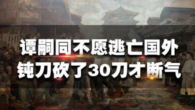 谭嗣同死得多悲壮?慈禧为了报复,下令用钝刀行刑,砍30刀才断气