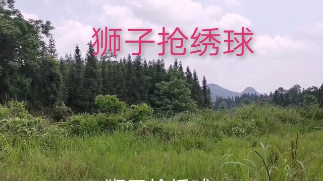 古人寻龙点穴高明,狮子抢绣球喝形,亥山巳向兼乾巽高山天花局