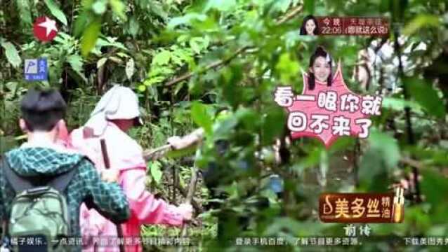 花样姐姐:危机四伏的热带雨林,花样团能够坚持下来吗?