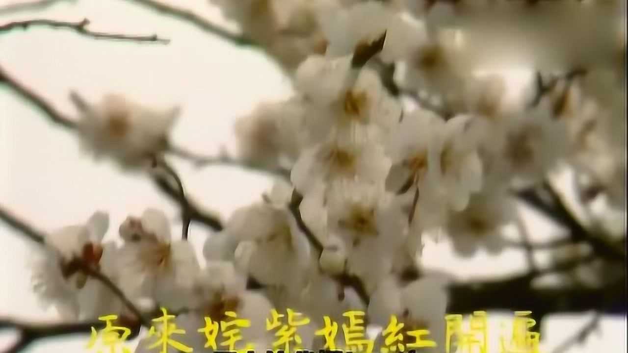 红楼梦：感时花溅泪，果真是多愁善感之人，黛玉看到落花又伤感了_高清1080P在线观看平台_腾讯视频