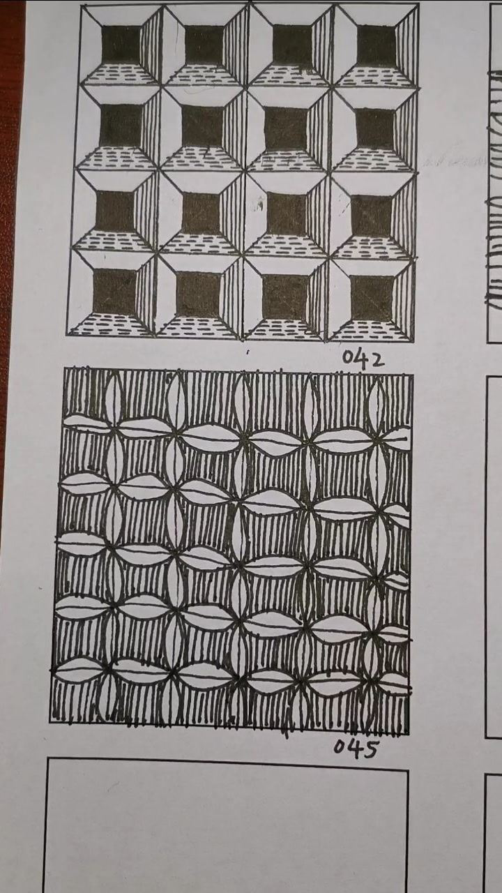 《线描练线》画直线,画曲线.