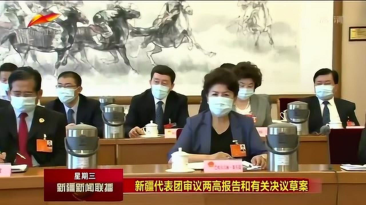 新疆代表团审议两高报告和有关决议草案