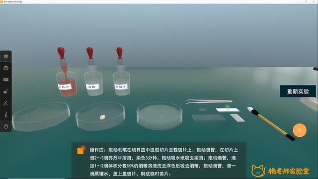 橘老师课堂第118期:检测生物组织中的脂肪