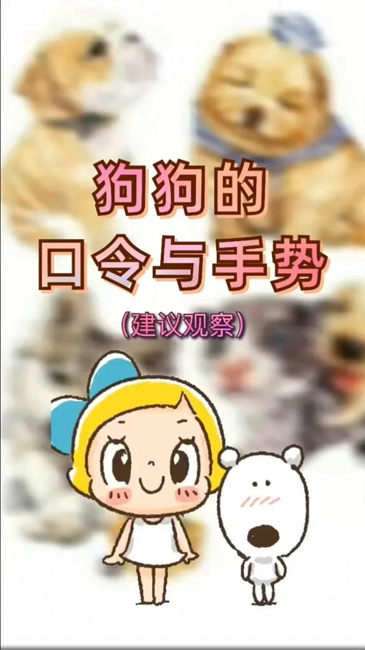 训练狗狗的口令与手势