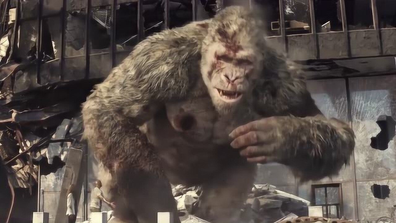 狂暴巨兽:大猩猩竟然装死,最后那个手势绝了!