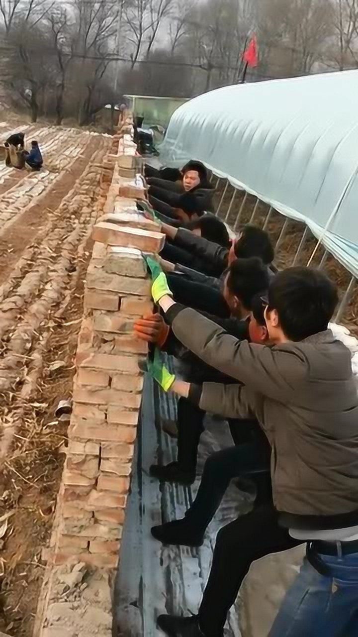 这才是墙倒众人推,区区一面墙,竟然还要靠这么多人推倒