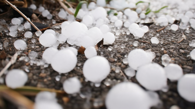 贵州局地近日突降冰雹为什么冬天也会下冰雹