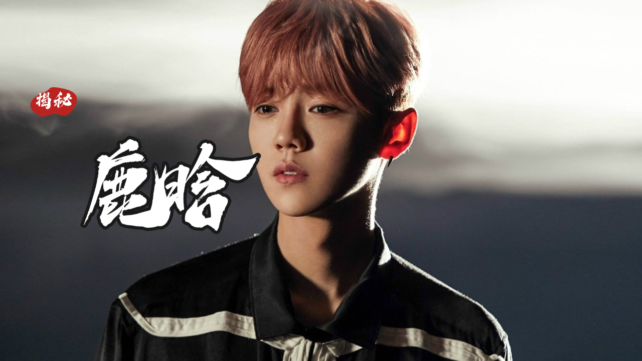 鹿晗背景到底有多牛,王思聪都不敢评价,显赫家世至今成谜