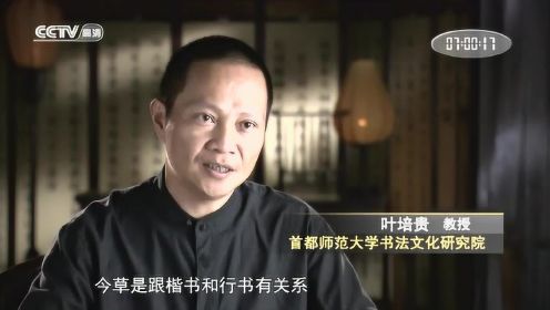 电视纪录片《中国书法五千年》第5集 【草舞龙蛇】