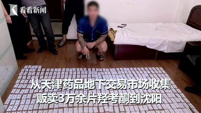 沈阳破获首例贩卖滥用含羟考酮复方制剂药品案